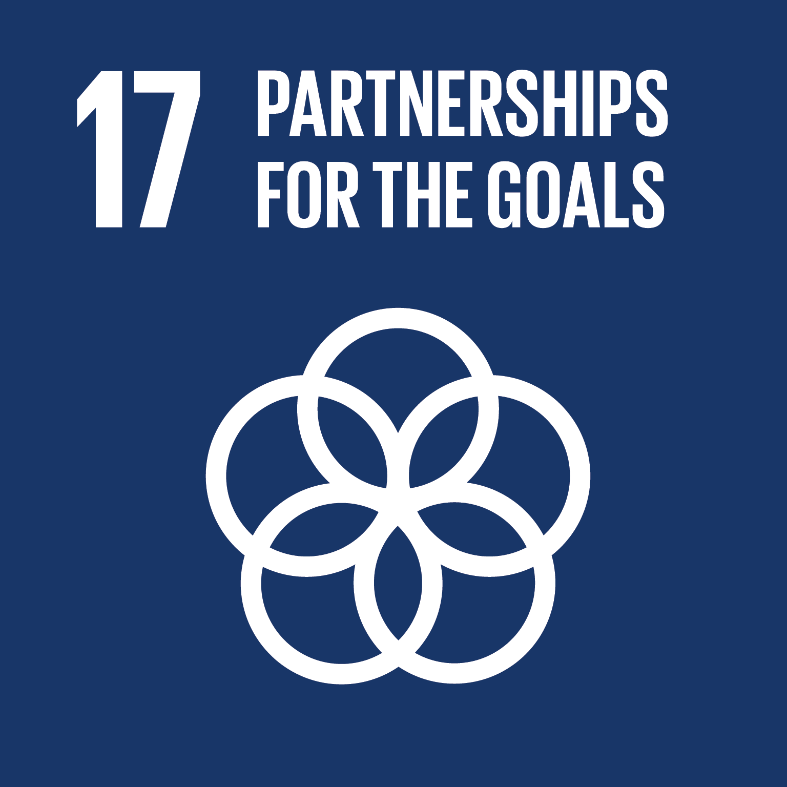 GOAL 17: Partnerships to achieve the Goal